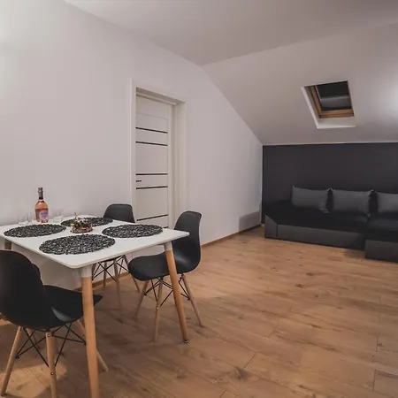 Pensiunea Negresti 3*