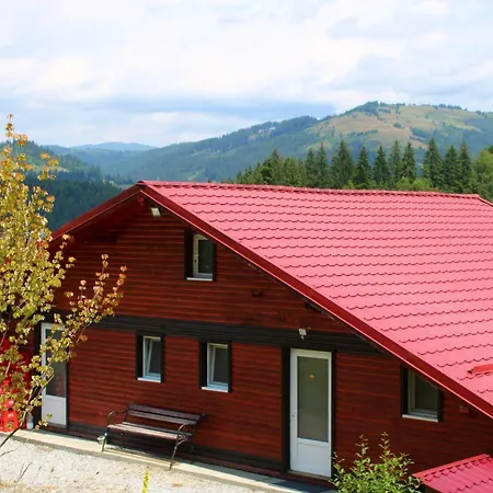 Pensiunea Negresti 3*